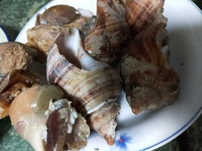 大連中山區二七廣場建材圖片,價格表,品牌大全,品牌排行榜 大連建材