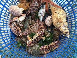 你知道嗎,為什么海鮮一直那么貴