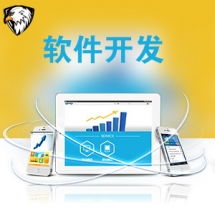 一品威客網(wǎng)軟件外包服務(wù)報價與收費解析 專業(yè)、透明、高性價比的開發(fā)選擇